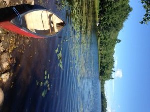 View along the western shoreline of Travel Pond from the access point by Route 17