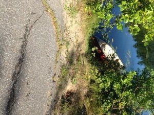 The access point from Whippoorwill Road to Little Purgatory Pond is just a hole through bushes...