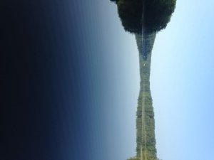 View of Dexter Pond in the early morning: placid and quiet! 