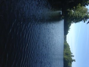 A nice view of Little Purgatory Pond down the "neck" towards Whippoorwill Rod in the background. East is to the left.