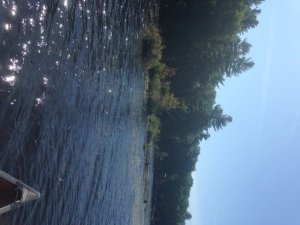 The small island in the "neck" provides interesting largemouth bass habitat.