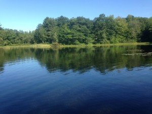 Little Purgatory Pond, Litchfield, Maine