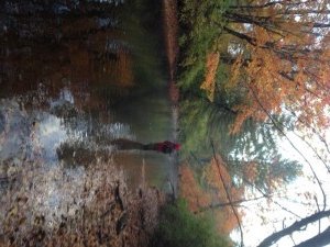A quiet morning fishing for trout on the Pleasant River while leaf peeing. What a combination!