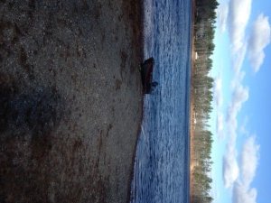 The boat launch with view of the northern shore