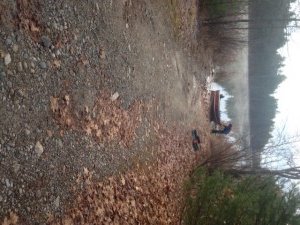 The public launch on Worthley Pond can accommodate small trailered boats