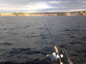 The sun playing with shadows and the shoreline of Sebago lake
