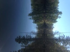 This stretch of the Presumpscot River is wide enough for serious fly fishing from a boat while drifting downstream.
