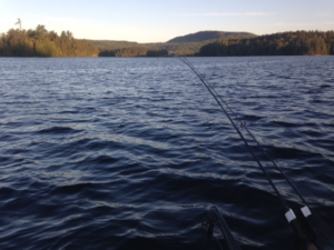 Good morning, Pierce Pond!