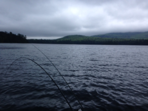 I'm trolling this morning under a leaden sky. Good! It keeps the light levels down.
