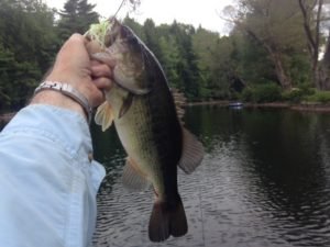 This big boy made it all worthwhile!