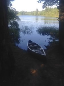 The muddy access point at the southern end of the southern arm of Little Watchic Pond can only accommodate hand-carried craft
