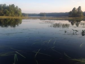 The extensive shallow weedy area on Lower Range Pond looking towards Route 26 in the background