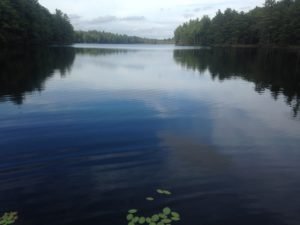 View of Wearey Pond looking north