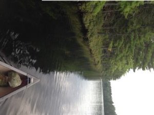 This shoreline has little bass holding structure