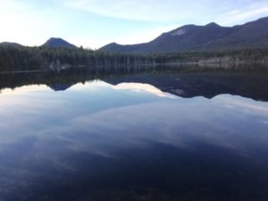 And another gorgeous vista from Grassy Pond